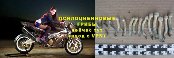 мескалин Каменка